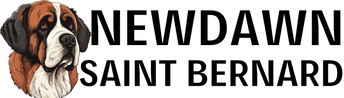 Newdawn Saint Bernard